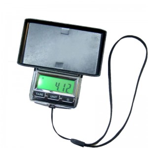 ตาชั่งขนาดเล็กสำหรับพก 100g/0.01g Digital Mini Pocket Scale