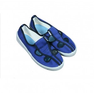 ESD Canvas Shoes - W00350